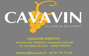 CAVAVIN