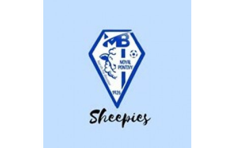 Les sheepies, section foot féminine des Moutons Blancs de Noyal-Pontivy